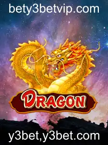 O Fascinante Mundo do Jogo 
